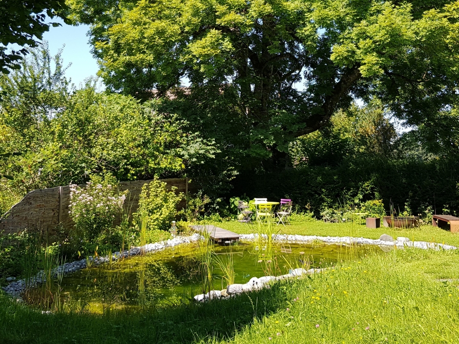 Neugestaltung F&ouml;rderprozess ESG SGR